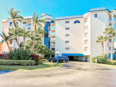Exterior view of a white hotel with blue trim, palm trees, and a driveway with a blue car in front.